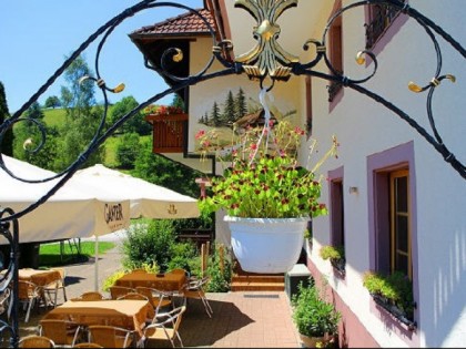 Foto: Adler - Pelzm&amp;uuml;hle